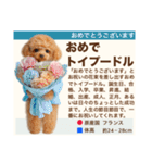 架空犬わんこ図鑑（個別スタンプ：22）