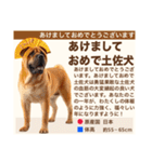 架空犬わんこ図鑑（個別スタンプ：23）