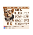 架空犬わんこ図鑑（個別スタンプ：24）