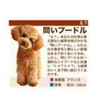 架空犬わんこ図鑑（個別スタンプ：25）