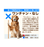 架空犬わんこ図鑑（個別スタンプ：27）