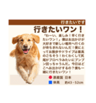 架空犬わんこ図鑑（個別スタンプ：29）