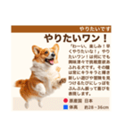 架空犬わんこ図鑑（個別スタンプ：30）
