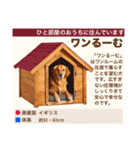 架空犬わんこ図鑑（個別スタンプ：31）