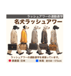 架空犬わんこ図鑑（個別スタンプ：33）