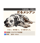 架空犬わんこ図鑑（個別スタンプ：34）