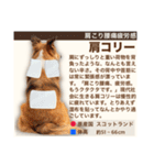 架空犬わんこ図鑑（個別スタンプ：35）