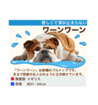 架空犬わんこ図鑑（個別スタンプ：38）