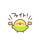 インコの家族連絡（個別スタンプ：20）