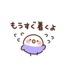 インコの家族連絡（個別スタンプ：23）