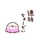 インコの家族連絡（個別スタンプ：35）