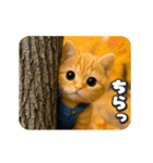 タマにゃんの秋（個別スタンプ：11）