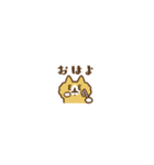 超小さいネコたち➁（個別スタンプ：1）