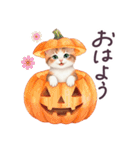 秋に毎日使える 水彩ねこ 日常（個別スタンプ：1）