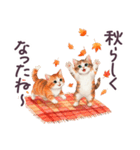 秋に毎日使える 水彩ねこ 日常（個別スタンプ：6）