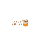 癒しシーズーの極省スペースで丁寧敬語（個別スタンプ：21）