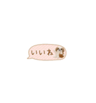 癒しシーズーの極省スペースで丁寧敬語（個別スタンプ：25）