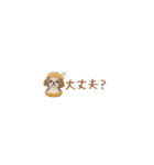 癒しシーズーの極省スペースで丁寧敬語（個別スタンプ：31）