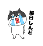 ネガティブな ネコの猫男8（個別スタンプ：2）