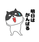 ネガティブな ネコの猫男8（個別スタンプ：12）