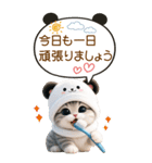 パンダ帽が可愛い猫 吹き出し 敬語 BIG（個別スタンプ：2）
