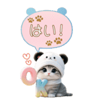 パンダ帽が可愛い猫 吹き出し 敬語 BIG（個別スタンプ：4）