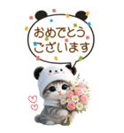 パンダ帽が可愛い猫 吹き出し 敬語 BIG（個別スタンプ：7）