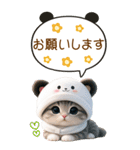 パンダ帽が可愛い猫 吹き出し 敬語 BIG（個別スタンプ：15）