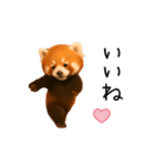 おどる！レッサーパンダ（個別スタンプ：11）