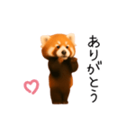 おどる！レッサーパンダ（個別スタンプ：13）