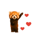 おどる！レッサーパンダ（個別スタンプ：24）