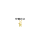 ジムが好きな小さなうさぎ（個別スタンプ：10）