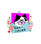 黒たびにゃんこの動くスタンプ★冬の挨拶（個別スタンプ：1）