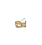 極小こつめかわうそ（個別スタンプ：19）