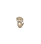 極小こつめかわうそ（個別スタンプ：20）