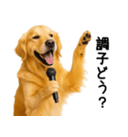 ゴールデンレトリバー★よく使うスタンプ♪（個別スタンプ：18）