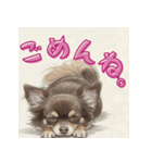毎日使えるチョコタンチワワの日常スタンプ（個別スタンプ：4）