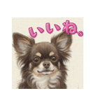 毎日使えるチョコタンチワワの日常スタンプ（個別スタンプ：7）