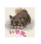 毎日使えるチョコタンチワワの日常スタンプ（個別スタンプ：8）