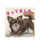 毎日使えるチョコタンチワワの日常スタンプ（個別スタンプ：9）