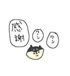 黒柴ワンワン！（個別スタンプ：12）