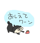 黒柴ワンワン！（個別スタンプ：19）