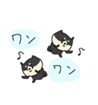 黒柴ワンワン！（個別スタンプ：31）