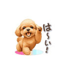 トイプーさんの「一押し」スタンプ（個別スタンプ：2）