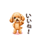 トイプーさんの「一押し」スタンプ（個別スタンプ：5）