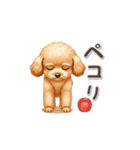 トイプーさんの「一押し」スタンプ（個別スタンプ：8）