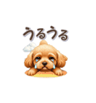 トイプーさんの「一押し」スタンプ（個別スタンプ：21）