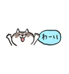 【黒柴版】柴ちん12 超小さい黒柴ちん（個別スタンプ：5）
