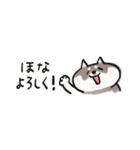 【黒柴版】柴ちん12 超小さい黒柴ちん（個別スタンプ：11）