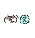 【黒柴版】柴ちん12 超小さい黒柴ちん（個別スタンプ：13）